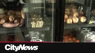 Vancouver student meal program to receive large donation after city cuts budget