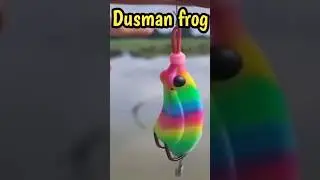 😲मरल  का दुश्मन  है ये! Dusman frog😱😱#youtubeshorts #shortvideo #shorts #fishing #maralfish #fish