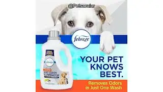 Обзор средства для удаления запаха шерсти животных Febreze In Wash: действительно ли оно удаляет ...