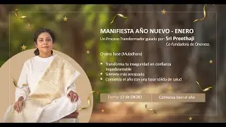 SERIE DEL MANIFIESTA 2025