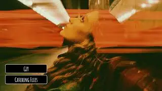 Catching Flies - GLY