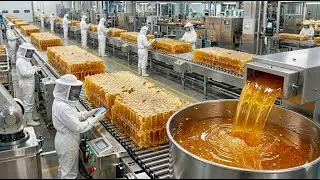 जानिए फैक्ट्री में कॉफी कैसे बनती है ? | How Millions of Bees Produce Tons of Liquid Gold