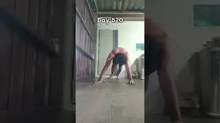 100 push-ups a day until I'm 60 : Day 520