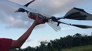 ornithopter pterodactyl mechanism & gearbox full handmade tester fly