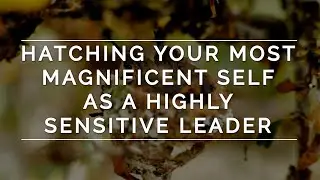 Activation | Embrace Your Uniqueness to Hatch HSP Business and Leadership Success