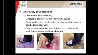 Veterinarian Biosecurity Webinar