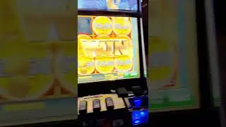 #casino #gaming #cash #southend #Grosvenor Casino Southend#gaming #cashflow #gunniessworldrecord