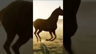 The Hidden Beauty of Horse Galloping at Dawn