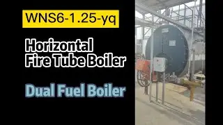 Dual Fuel Diesel and Natural Gas Boiler 6 Ton, Steam Boiler for Heat Exchanger, Calderas para Hotels