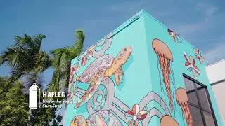 Townsville's Street Art Trail