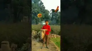 Ya Rab e Mustafa Caching food vfx magical video tiktok Food #shorts #youtubevideo #viral
