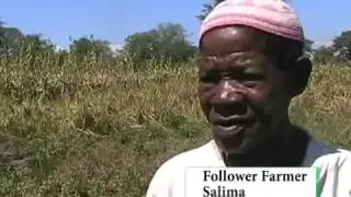 Climate change adaptation and neglected crops in Malawi-  PR219