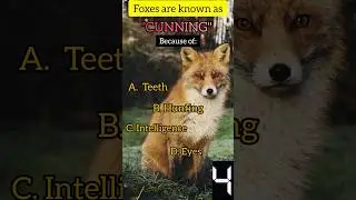 Fox is cunning because ? #shorts #gk #facts