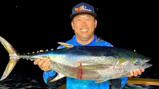 Погоня за моим первым тунцом в 2023 году за 1,5 дня (Tribute Sportfishing)