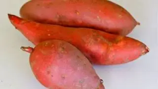 Sweet Potato 101