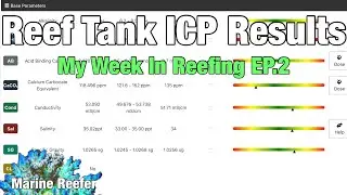 Reef Tank ICP Results | My Week in Reefing EP.2