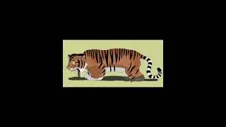 Tiger transformation