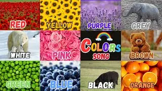 This is Red the Colour Red | Color Song for Kids | Nursery Rhymes and Kids Song | Learn Color
