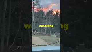Rhode Island's Spookiest Roads! #paranormal