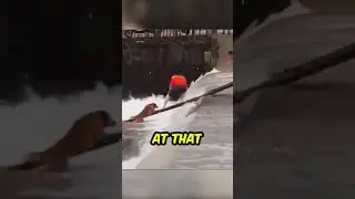 Stranded Dog in Waterfall&rsquo;s Wrath&mdash;You Won&rsquo;t Believe What Happened! 😨🐶 @BradNolanz