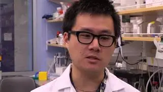 Smilow 10 &ndash; Smilow Cancer Hospital | Yale Cancer Center 2020