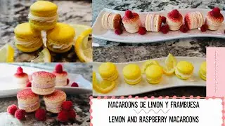 Macaroons de Limon y Frambuesa / Lemon and Raspberry Macaroons