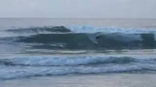 Random Acts of Brotheryn