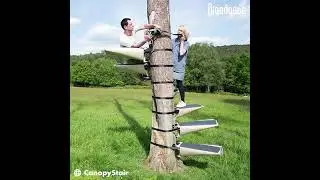 CanopyStair tree staircase #gigadgets #farmhousestyle #woods #countryliving #treehouse