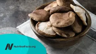 Medicinal Mushrooms for Cancer Survival