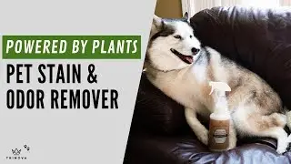 100% NATURAL AND ORGANIC PET CLEANER | TRINOVA