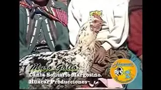 SOLITARIO MARGOSINO - MURU GALLO (Video Oficial)