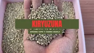 Todo sobre el Kiryuzuna: C&oacute;mo Usarlo Correctamente en tus Bons&aacute;is