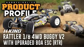 H-King Rattler (RTR) 1/8 4WD Buggy V2 with Upgraded 80A ESC