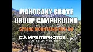 Кемпинг Mahogany Grove Group — Спринг-Маунтинс (Национальная стрелковая ассоциация), Невада
