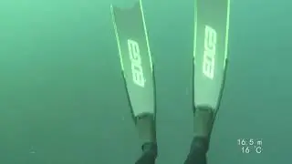 MOV 0142 Line dive distracted by Sea Lion and scuba diver collision