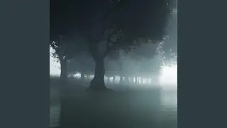 Mythical Forest (Super Slowed)
