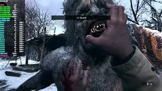 RTX 3080 | 9900K | Resident Evil Village 4K Ultra Settings/Ray Tracing HDR