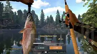 Fishing Planet - Rocky Lake - Cutthroat Trout Unique
