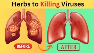 Top 10 Herbs for Lung Health,  COPD, Clearing Mucus, and Killing Viruses