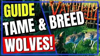 Valheim ESSENTIAL Guide how to capture, tame and breed WOLVES! ✅