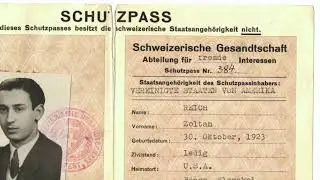 Artifacts from the Vault: Schutzpass