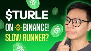 TURTLE on Binance Spot | $TURTLE Price Prediction