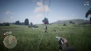 Quick Draw* Duel rdr2
