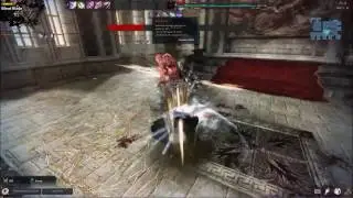 Vindictus einrach spear lann Silberin Silent Blade (no hit)