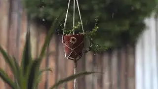 Rain Sounds For Deep Sleep | Rain Relaxation and Focus | Nature Without Noise Rain 2 Hours
