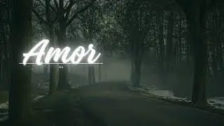 TS: Amor 44 (Safe & Sound from 