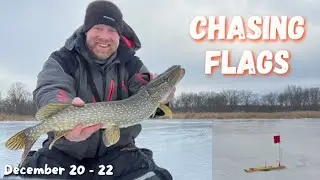 Targeting BACKWATER PIKE | Wisconsin River TIP UP Fishing