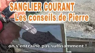 Sanglier courant, conseils de Pierre (plus de conseils - Abonnez vous !)
