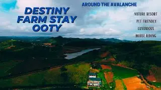 Destiny Farm Resort I Discovering the Best Resort in Avalanche, Ooty