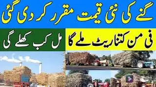 Sugarcane new price update | Sugarcane price 2021| Sugarcane new rates in Pakistan